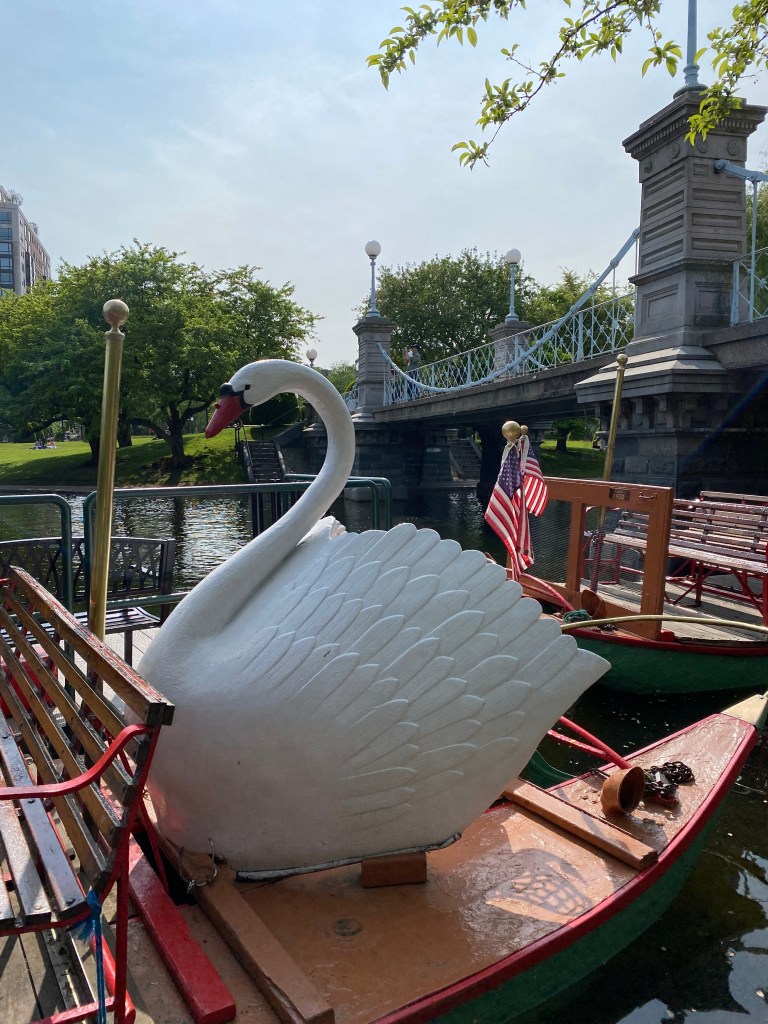Photo of swan boats at the Public Garden in Boston, MA